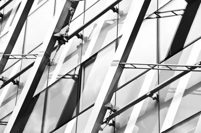 A lattice of steel members supporting a glazed roof.